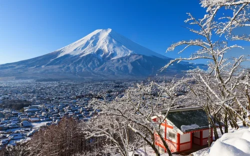 Vibrant seasonal flowers blooming at Lake Kawaguchiko Oishi Park with Fuji in the background