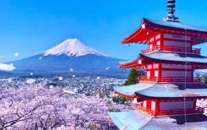 Mount Fuji Panoramic Day Trip from Tokyo