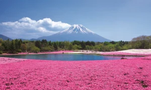Mt. Fuji 5th Station, Ropeway, Oshino Hakkai & Fruit Picking Day Tour