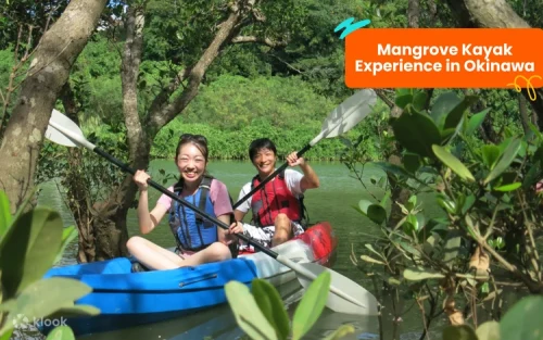 Traditional cultural experiences at vibrant Okinawa World