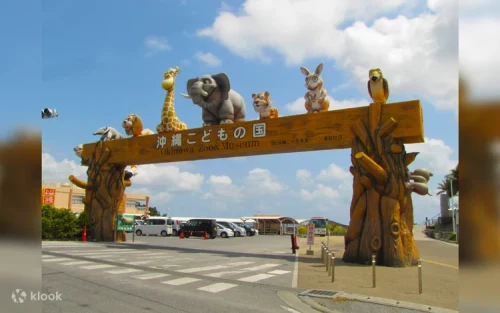Majestic white lions resting at the Okinawa Zoo enclosure