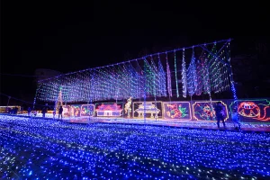 Okinawa Zoo & Museum Admission