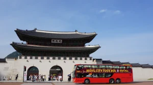 Seoul City Tour Bus: Downtown Palace & Namsan Hop-On Hop-Off