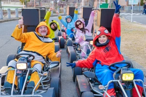 Shibuya Go Karting Experience