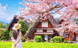 Shirakawa-go Gassho Village & Hida Takayama Day Trip from Nagoya