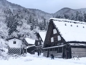 Shirakawa-go & Takayama Old Town Full-Day Tour
