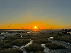Taichung Day Tour from Taipei: Gaomei Wetlands, Rainbow Village & Miyahara