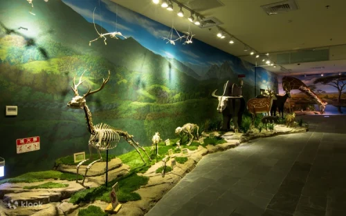 Children marveling at massive mammoth fossils in the Hall of Animals and the Environment.