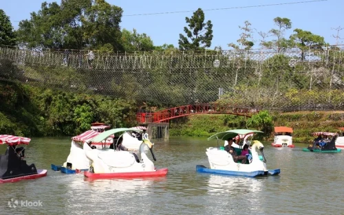Families enjoying a relaxing pedal boat ride on the serene river at Tsou Ma Lai Farm