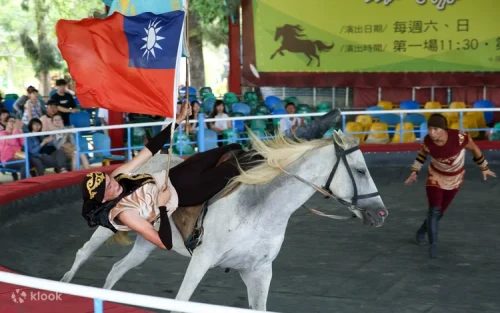 Professional riders performing thrilling stunts during the spectacular live equestrian show