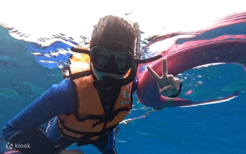 Swimming alongside beautiful green sea turtles in Little Liuqiu