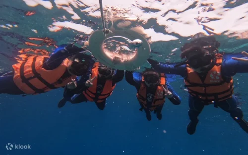 Exploring the iconic Vase Rock landmark before diving in