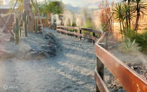 Feed cute guinea pigs and meet the popular meerkats in a well-designed desert oasis.