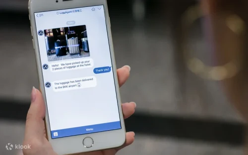 Mobile phone displaying a photo update of securely delivered luggage