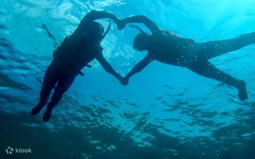 Snorkeling and exploring vibrant marine life in Penghu Taiwan