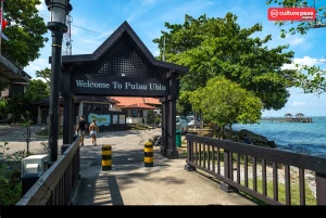 Roots & Flavours: A Pulau Ubin Discovery Tour