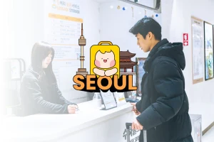 Same-Day Seoul Luggage Delivery Service