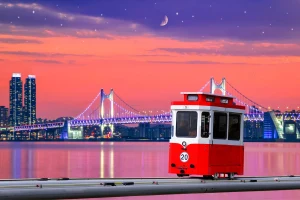 Sunset Haeundae Sky Capsule & Busan Night View Tour