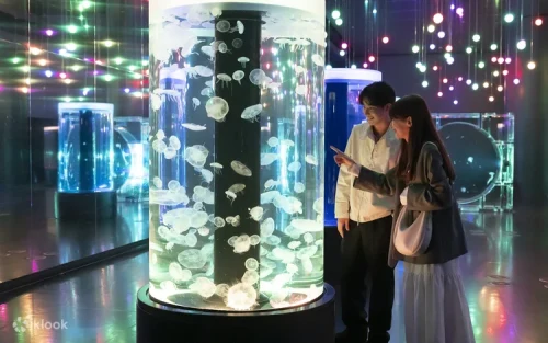 Visitors walking through the Wonder Tube surrounded by manta rays and tropical fish