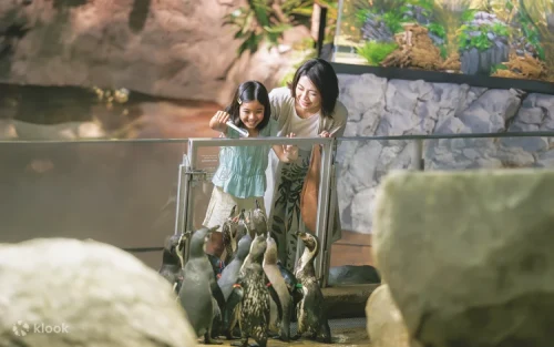 Visitors interacting with cutting-edge visual displays at DMM Kariyushi Aquarium