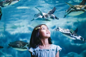 DMM Kariyushi Aquarium