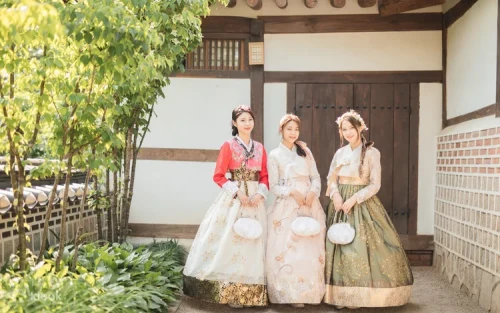 Close up of elegant traditional Korean hair accessories and braided hairdo