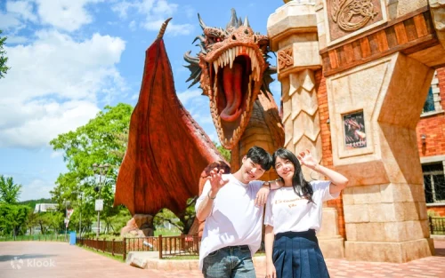 Vibrant traditional performances and cultural exhibits