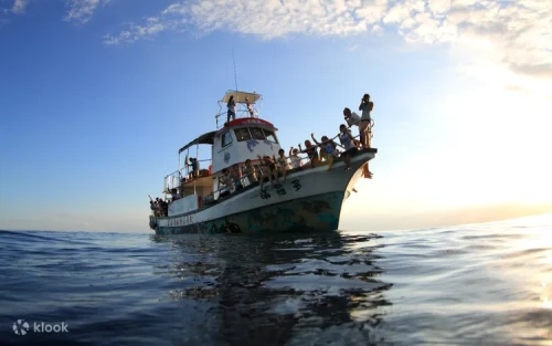 Expert Kuroshio guide explaining marine life to tour guests