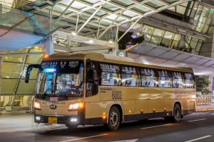 Incheon Airport Limousine Bus Ticket to Seoul