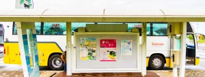 Kenting Express Line & Kenting Shuttle Bus Pass