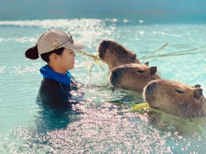 Kenting Luyu Island Capybara Ecological Park