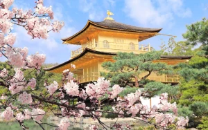 Kyoto and Nara Full-Day Tour