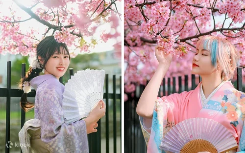 Professional Japanese kimono master assisting a guest with traditional dressing