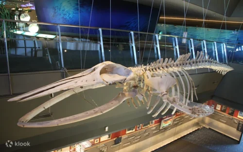 The Plains Exhibition showcasing Lanyang River's rich history