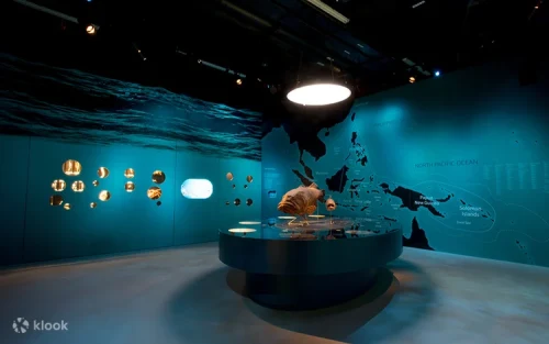 Three massive sauropod dinosaur fossils on display in Singapore