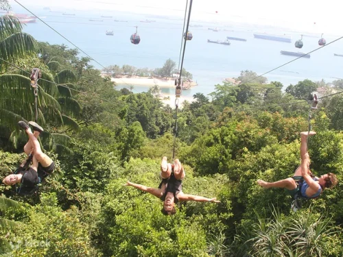 Thrill-seekers soaring down the 450-meter MegaZip line over Siloso Beach.