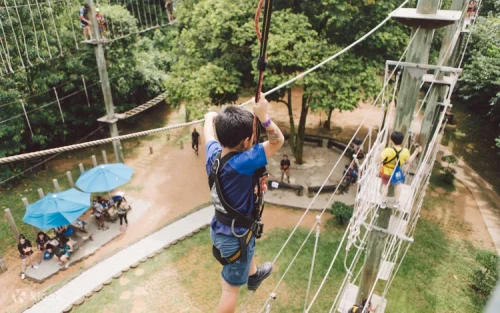 Panoramic aerial views of Sentosa Island from the MegaZip platform.