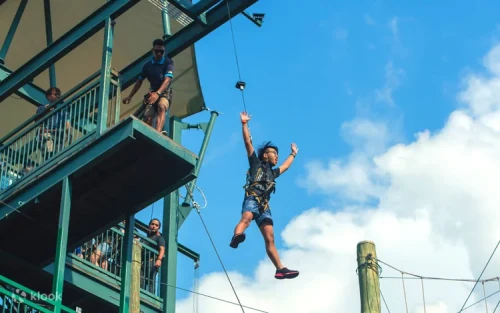 Families enjoying high-speed zipline adventures at Mega Adventure Park.