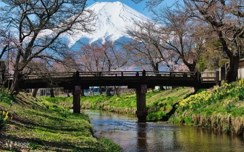 Traditional thatched roof houses and crystal clear ponds at Oshino Hakkai