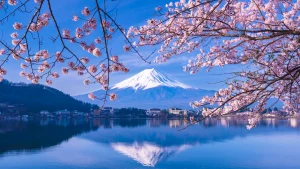 Mount Fuji & Lake Kawaguchi Full-Day Guided Tour