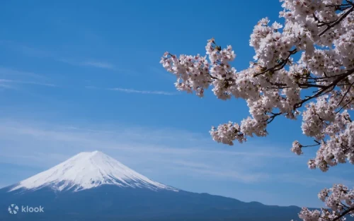 Scenic stroll along the peaceful shores of Lake Kawaguchi