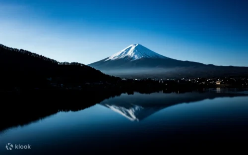 Vibrant seasonal flower blooms at Oishi Park with Mount Fuji in the background
