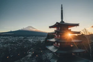Mt. Fuji Sightseeing, Flowers & Outlet Shopping Day Tour from Tokyo
