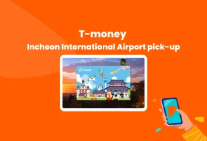 South Korea T-money Card