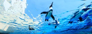Sunshine Aquarium Tokyo