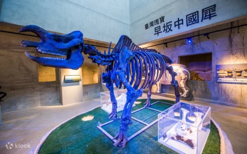 Incredible dinosaur skeletons at the Hall of Life Evolution