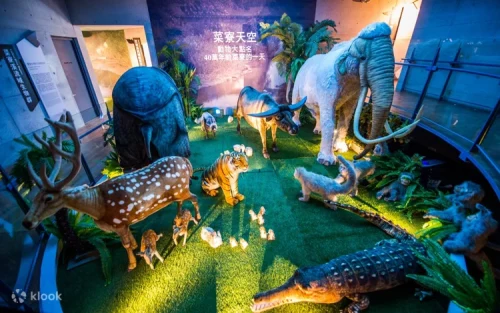 Interactive multimedia exhibits for family activities in Tainan