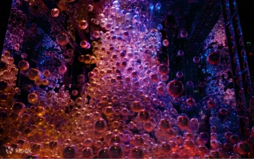 Visitors exploring the multi-dimensional Athletics Forest