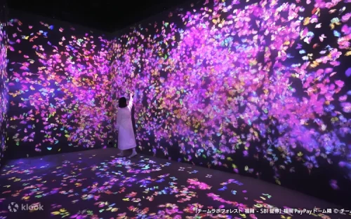 Interactive light particles flowing down the fluffy three-dimensional terrain