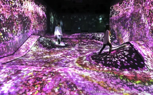 Visitors catching digital animals using the smartphone app in the forest